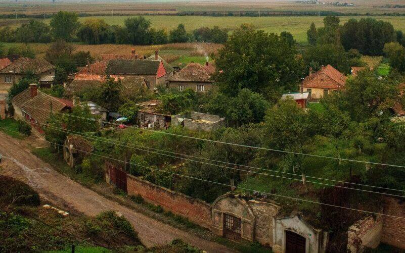 Curs de yoga în Săcuieni